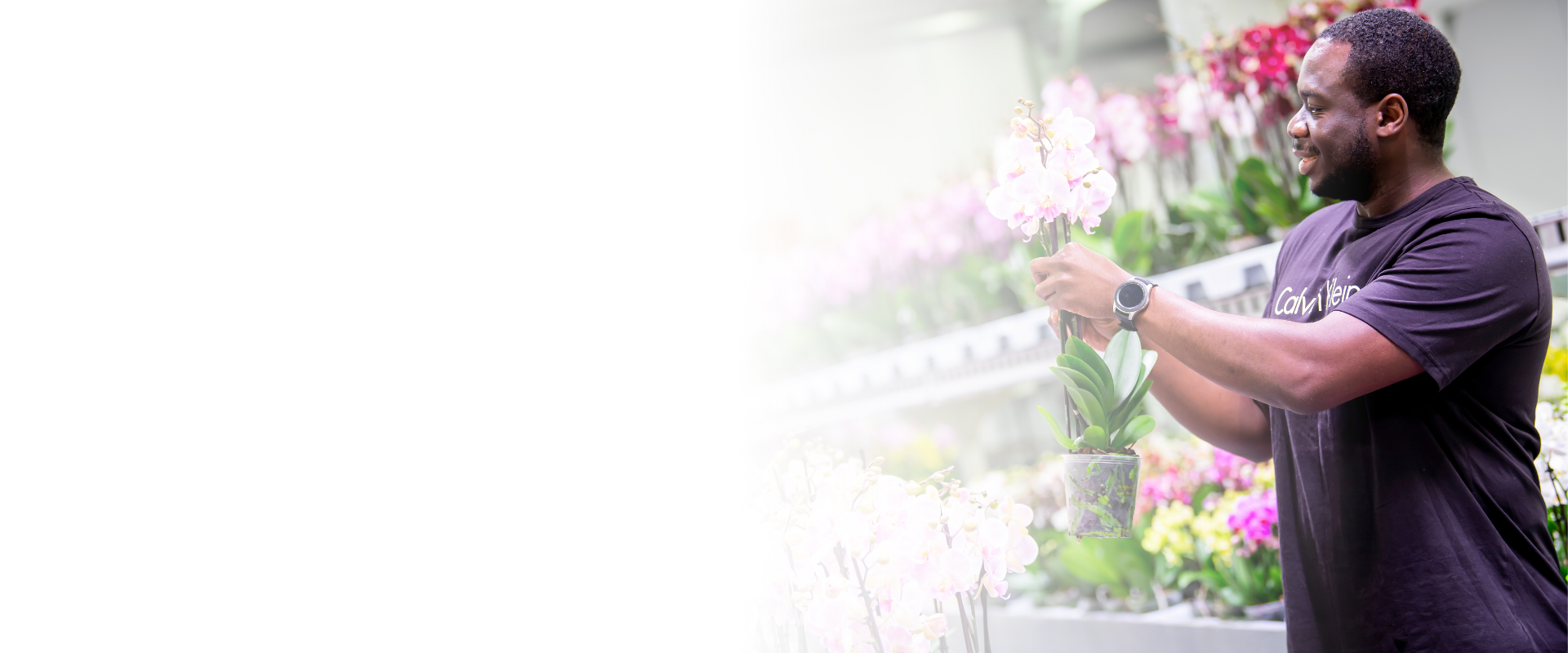 Vacature banner