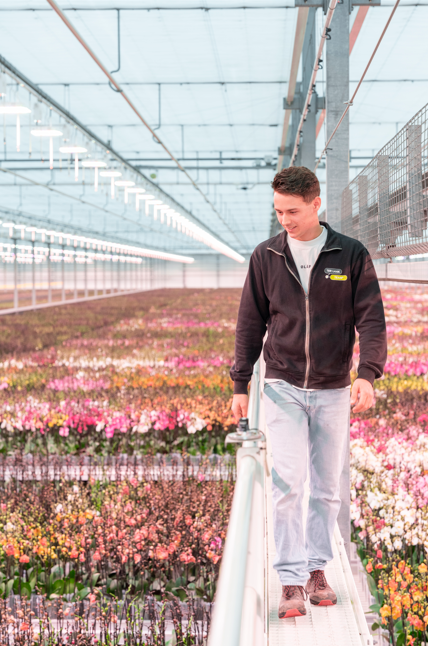 Foto vacature
